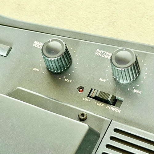 Casio Electric Guitars Dg-1
