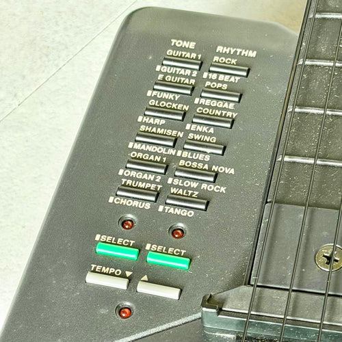 Casio Electric Guitars Dg-1