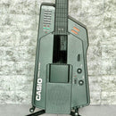Casio Electric Guitars Dg-1