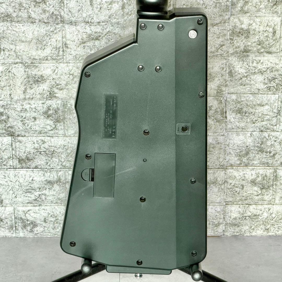 Casio Electric Guitars Dg-1