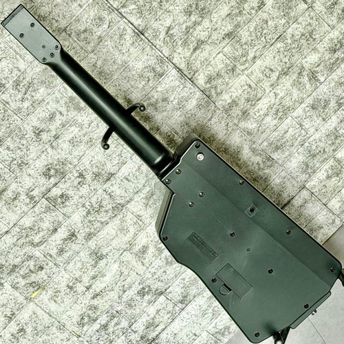 Casio Electric Guitars Dg-1
