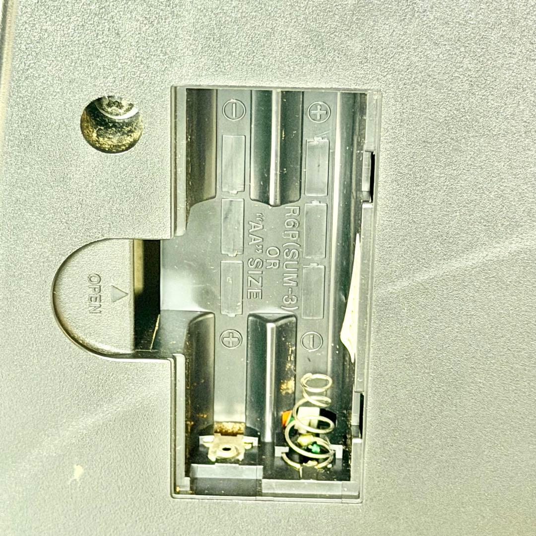 Casio Electric Guitars Dg-1