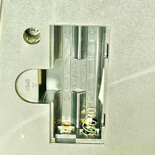 Casio Electric Guitars Dg-1