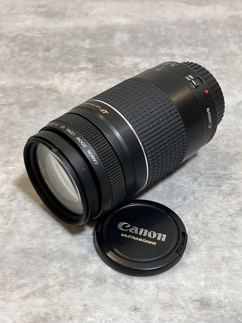 Canon Digital Slr Eos 70D Ef-S18-135Mm F3.5-5.6 Is Ef75-300Mm F4-5.6 Ii Usm