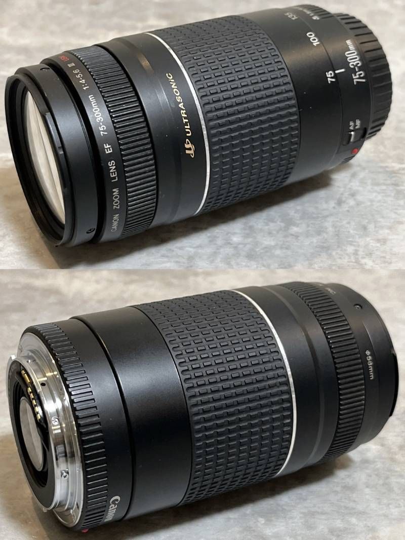 Canon Digital Slr Eos 70D Ef-S18-135Mm F3.5-5.6 Is Ef75-300Mm F4-5.6 Ii Usm