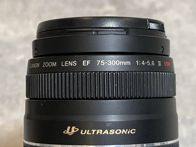 Canon Digital Slr Eos 70D Ef-S18-135Mm F3.5-5.6 Is Ef75-300Mm F4-5.6 Ii Usm