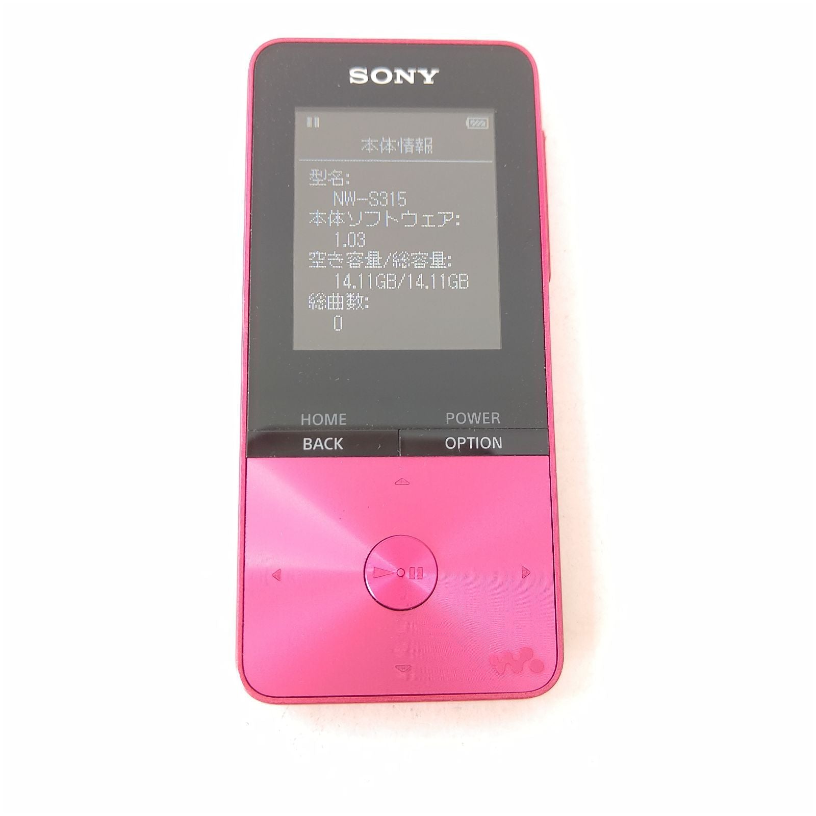 Sony Digital Audio Player Nw-S315