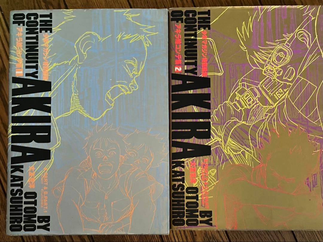Art Design Music Akira 1 &2 The Continuity Of