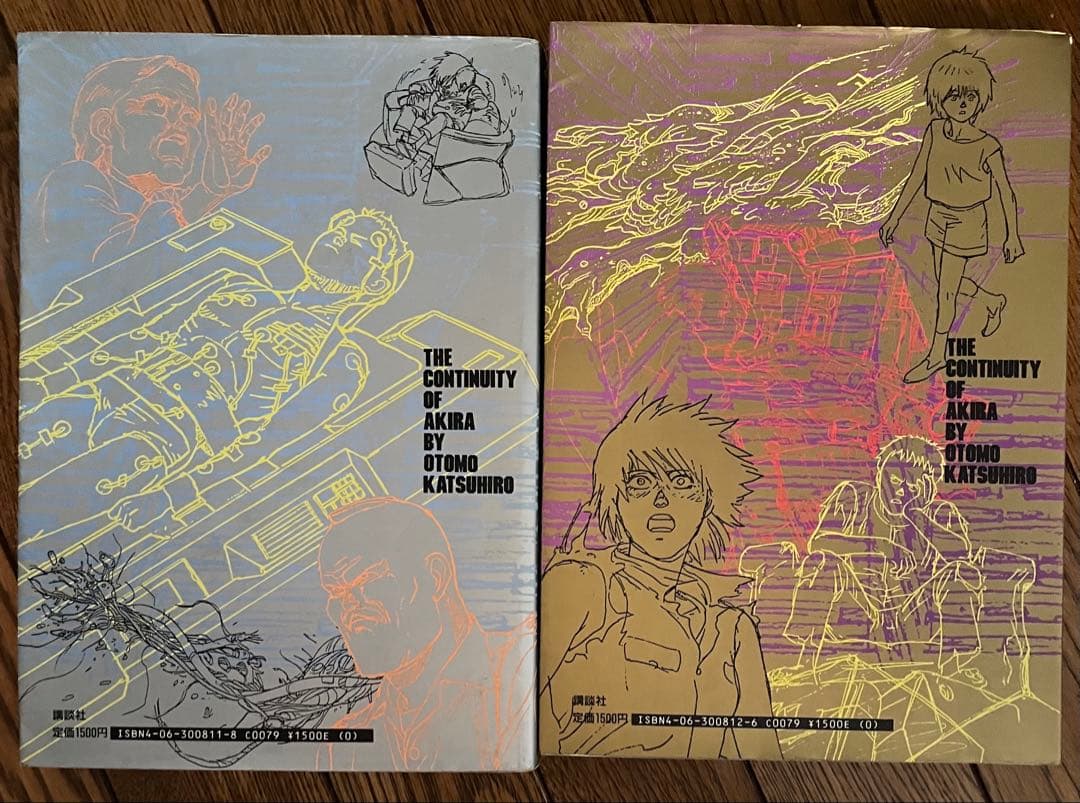 Art Design Music Akira 1 &2 The Continuity Of