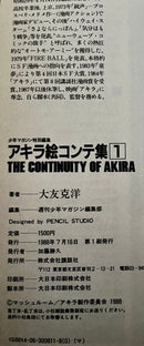 Art Design Music Akira 1 &2 The Continuity Of