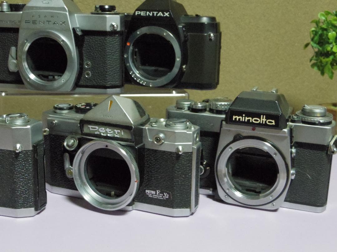 Pentax Slr Camera (Film)