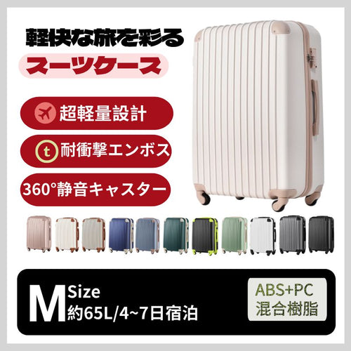 Carry Case M Tsa 4 -7 1
