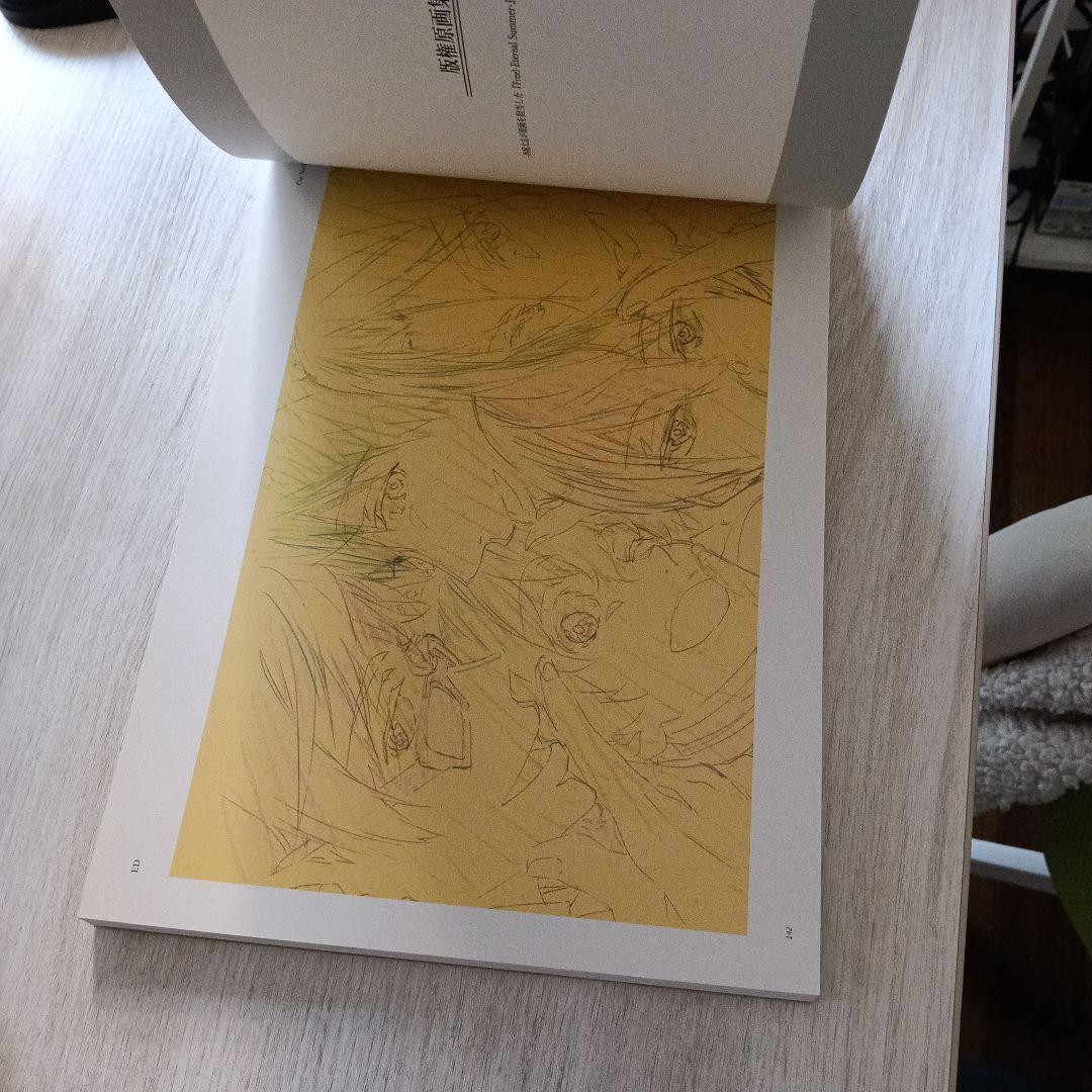 Illustrations -Eternal Summer-