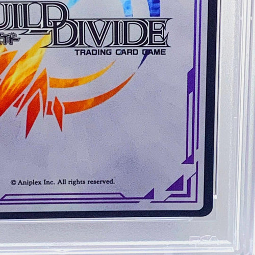 Bildi Bide Psa10 Mm-Tb1-13Dr