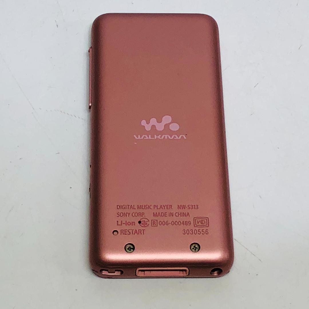 Digital Audio Players S Nw-S313 M2129