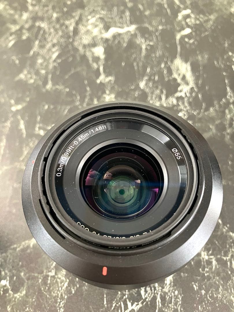 Sony Mirrorless Interchangeable Lips 7 Ilce-7