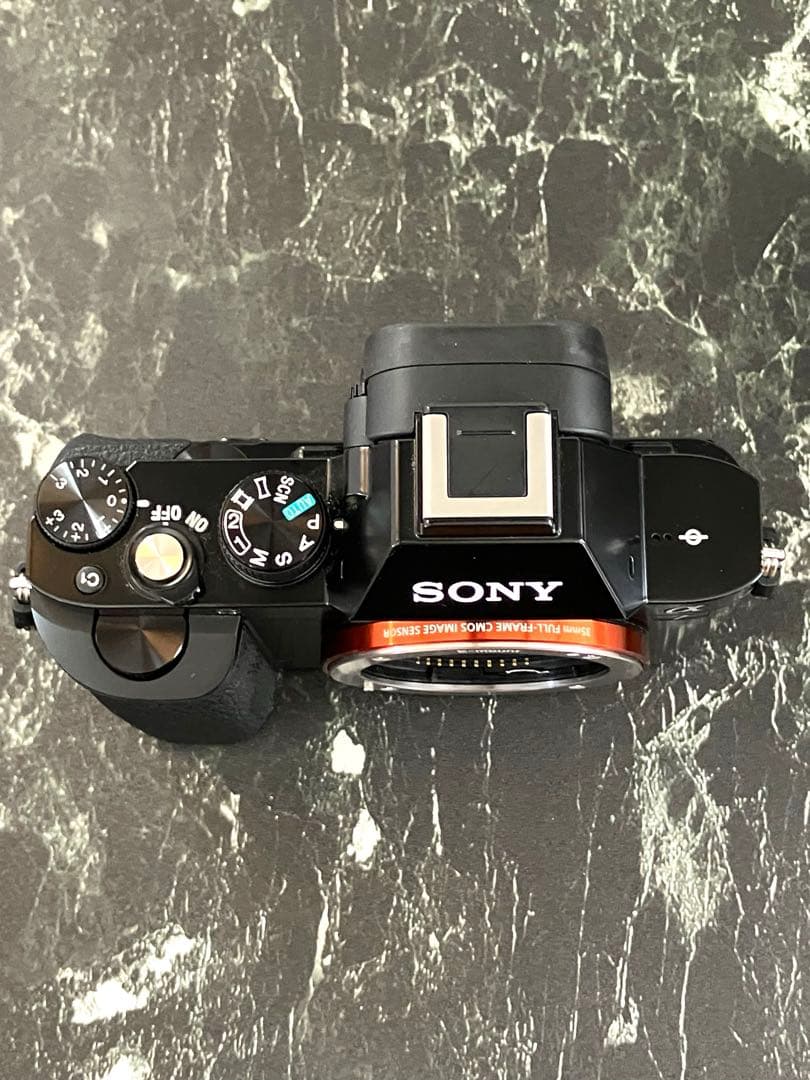 Sony Mirrorless Interchangeable Lips 7 Ilce-7