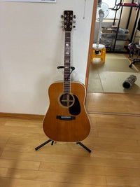 Acoustic Guitars Yamaki 140D