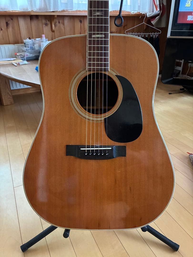 Acoustic Guitars Yamaki 140D