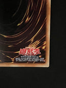 Yu-Gi-Oh! Ocg Duel Monsters (Japanese)