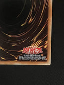 Yu-Gi-Oh! Ocg Duel Monsters (Japanese)
