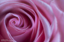 Others Lensbaby Velvet( 85 F