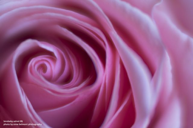 Others Lensbaby Velvet( 85 F
