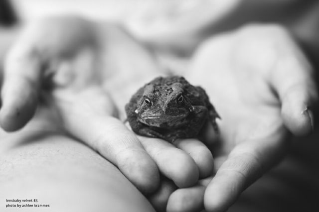 Others Lensbaby Velvet( 85 F