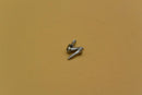 Rod Cover Yamaha Sf500 (Sf700/Sf1000)