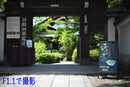Prime Lenses Z Mf F1.1