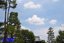 Prime Lenses Z Mf F1.1