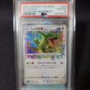 Pokemon Card Game Psa