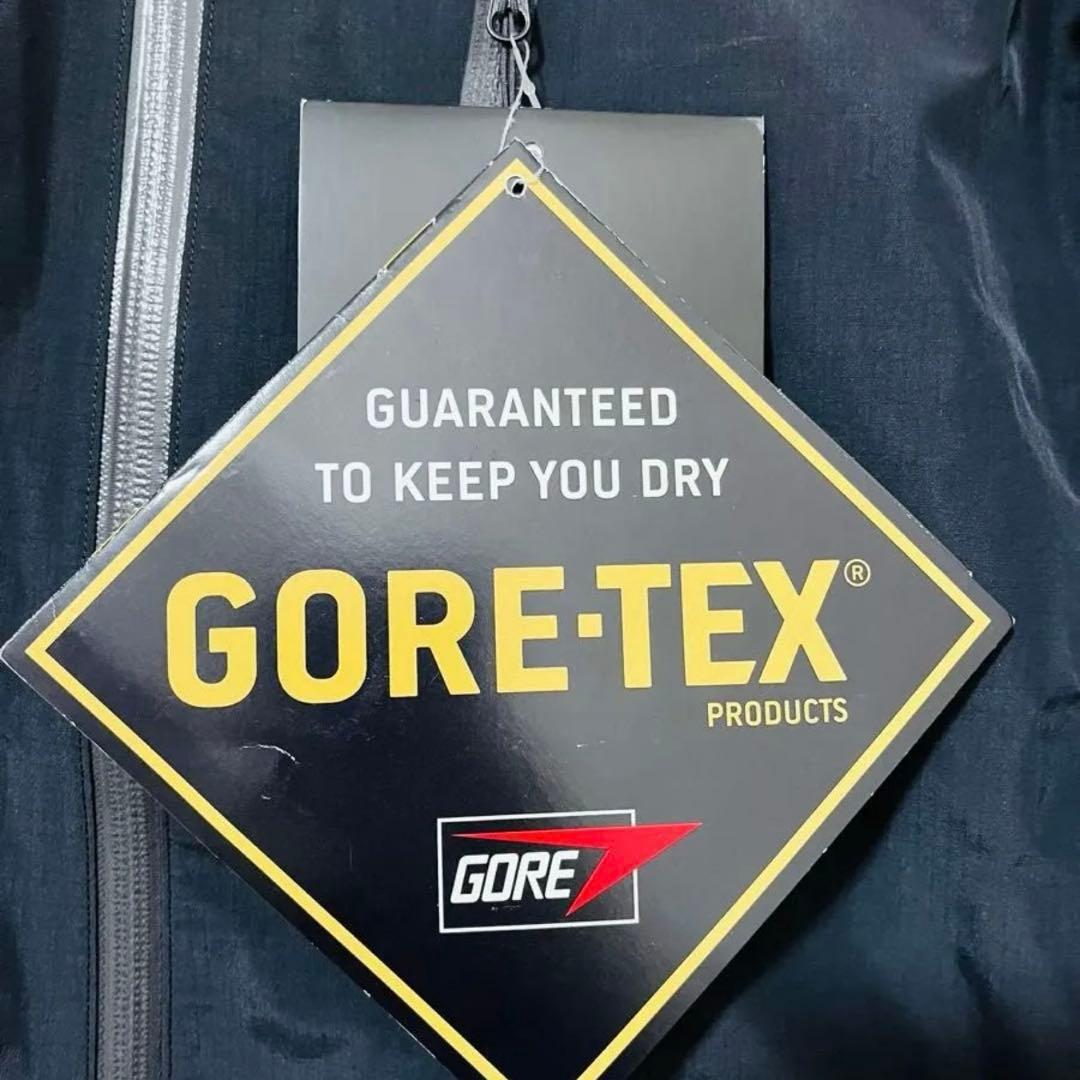 Arc'Teryx Mountain Parka Gore-Tex