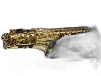 Yamaha Saxophone Body Yas-875Ex