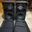 Pioneer Speakers