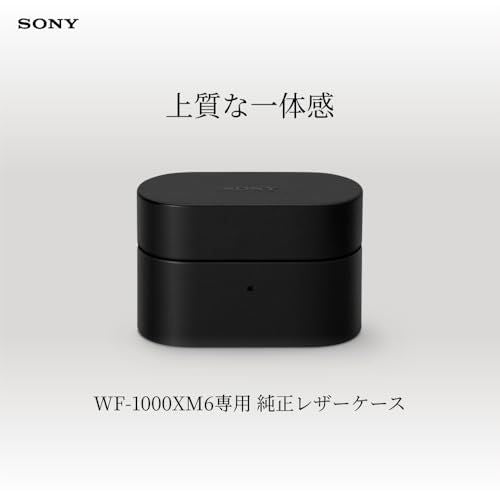 Others (Sony) Wf-1000Xm6 Hac1000Xm6Cbc 15Fdeebf