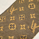Louis Vuitton Scarves
