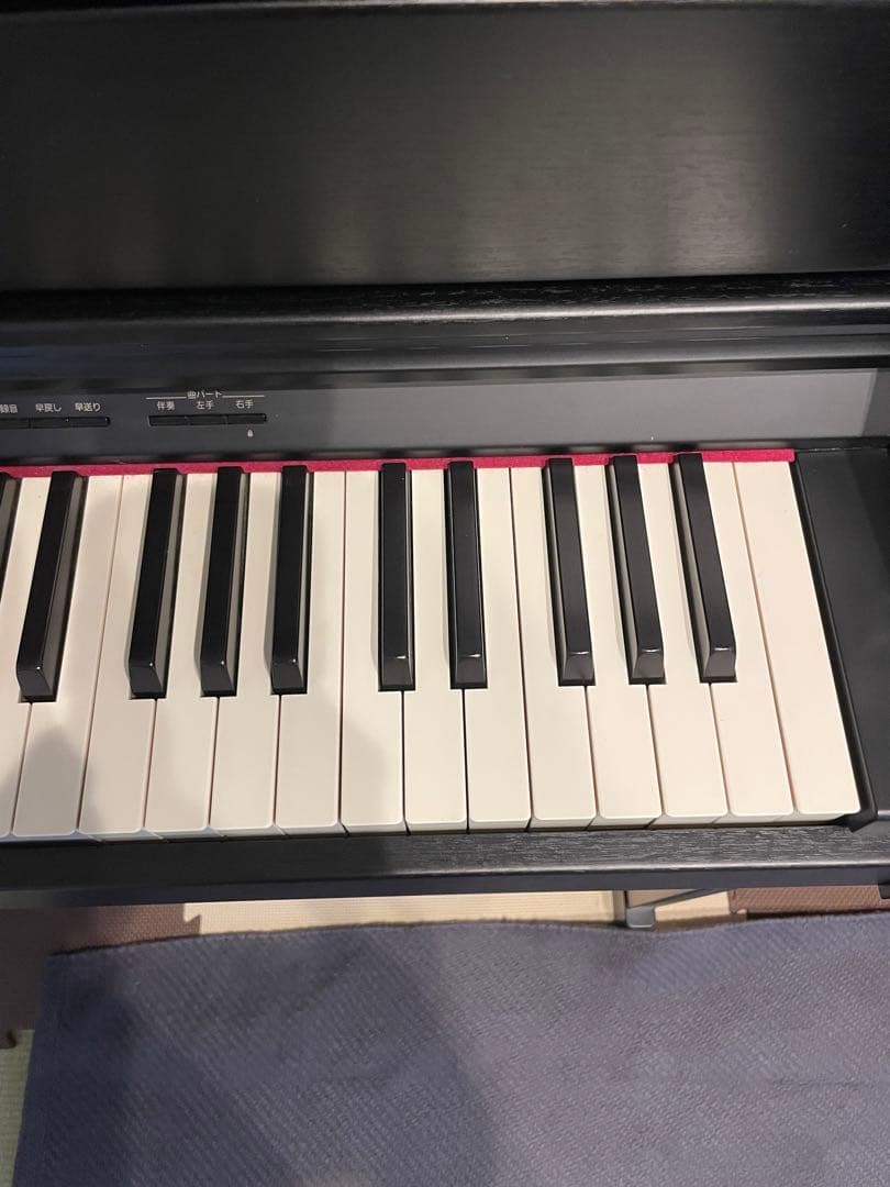 Roland Keyboards Digital Pianos Hp605-Gp