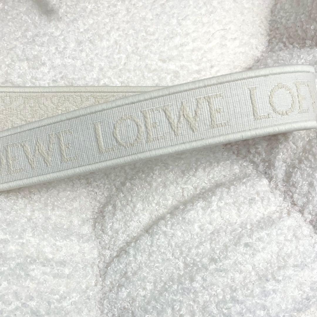 Loewe Handbags