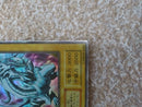 Yu-Gi-Oh! Ocg Duel Monsters (Japanese)