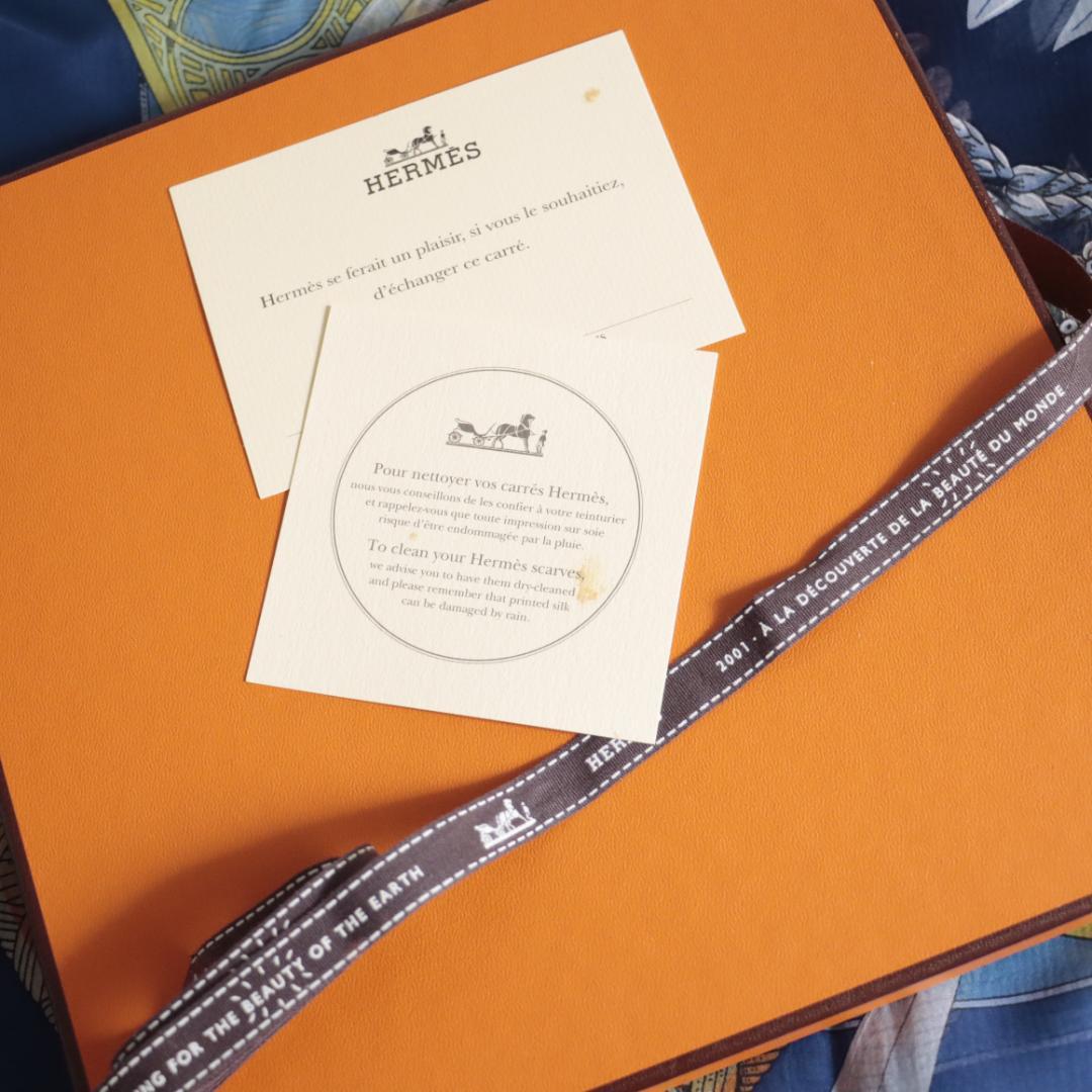 Hermes Bandanas Thin Scarves 90 Amours