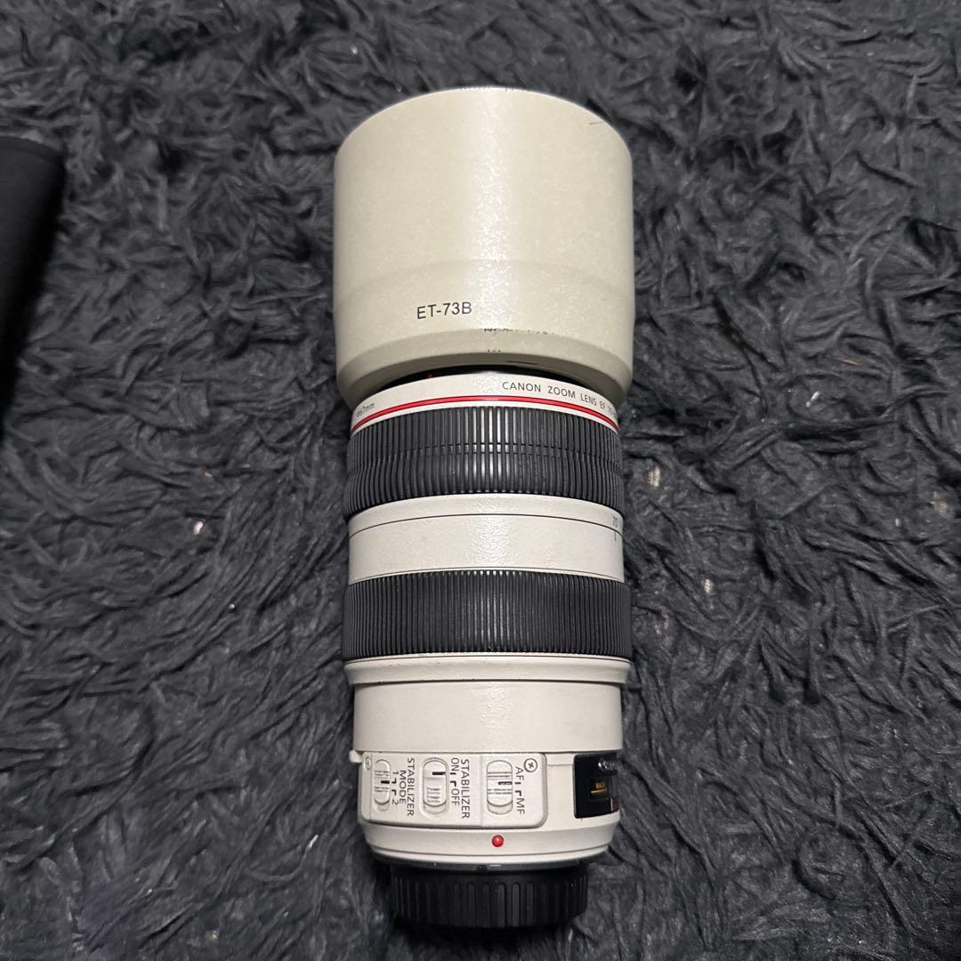 Canon Zoom Lenses Ef70-300Mm F4-5.6L Is Usm