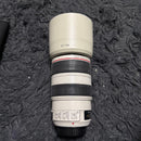 Canon Zoom Lenses Ef70-300Mm F4-5.6L Is Usm