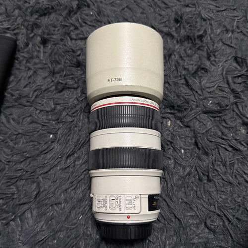 Canon Zoom Lenses Ef70-300Mm F4-5.6L Is Usm