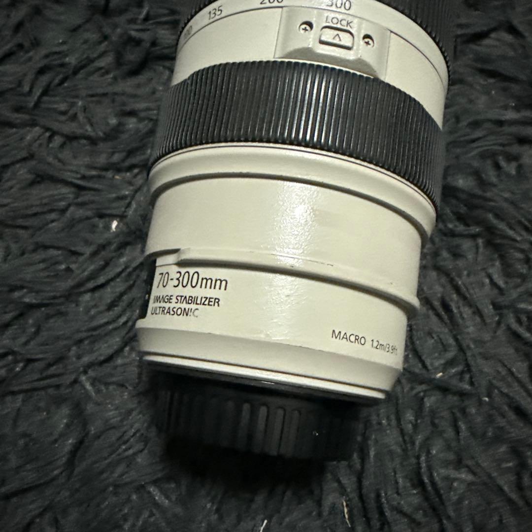 Canon Zoom Lenses Ef70-300Mm F4-5.6L Is Usm