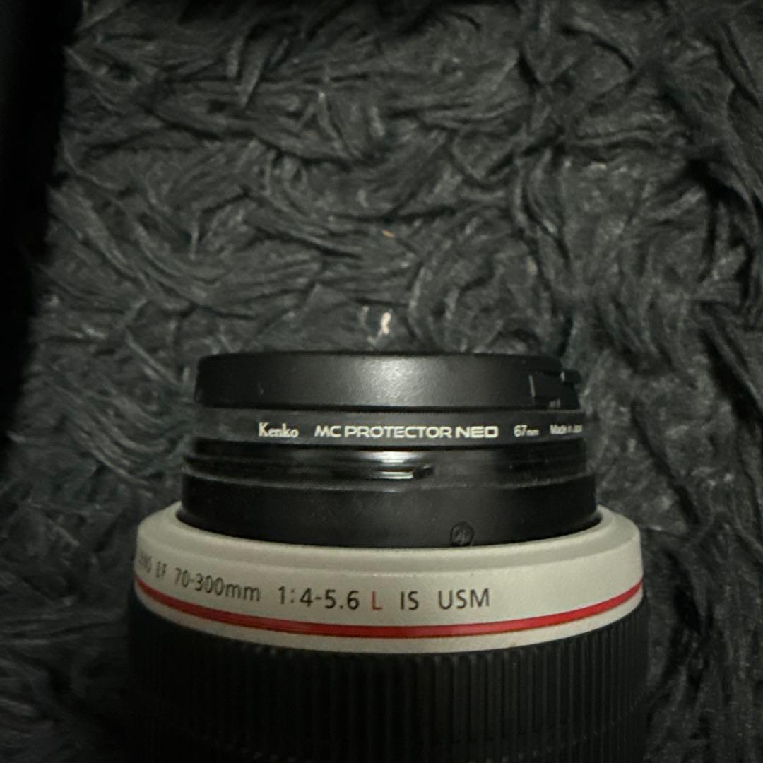 Canon Zoom Lenses Ef70-300Mm F4-5.6L Is Usm