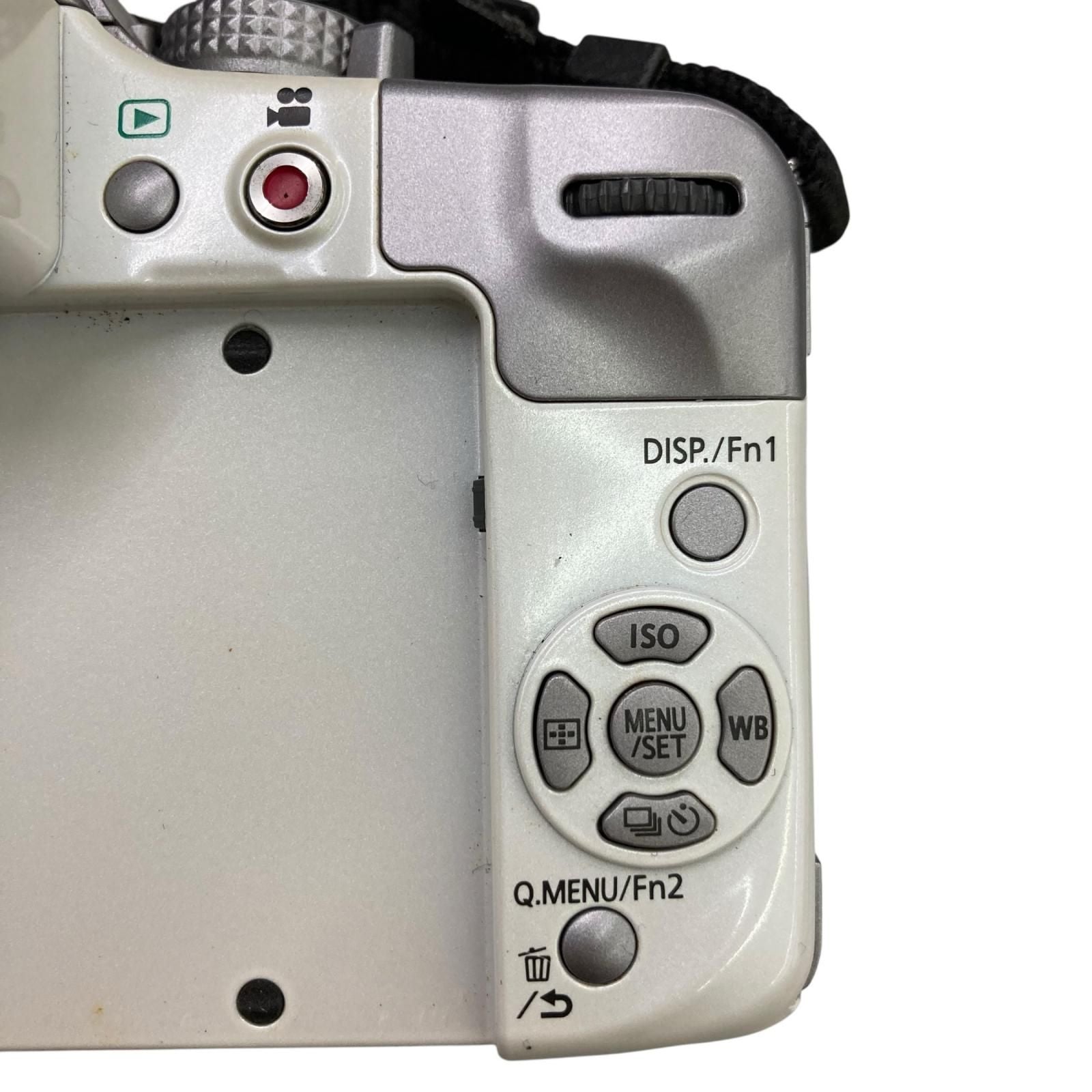 Panasonic Mirrorless Interchangeable Lips 186000 Lumix Dmc-G3