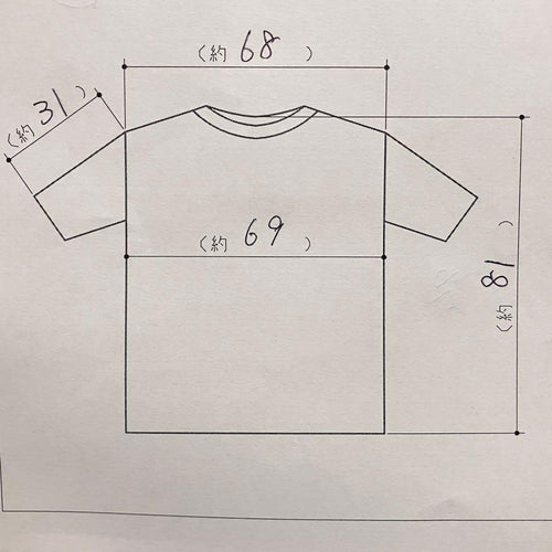 Fujifilm T-Shirts Usa Zerzees Fuji T 2X