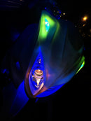 Motorcycle Frames C Led
