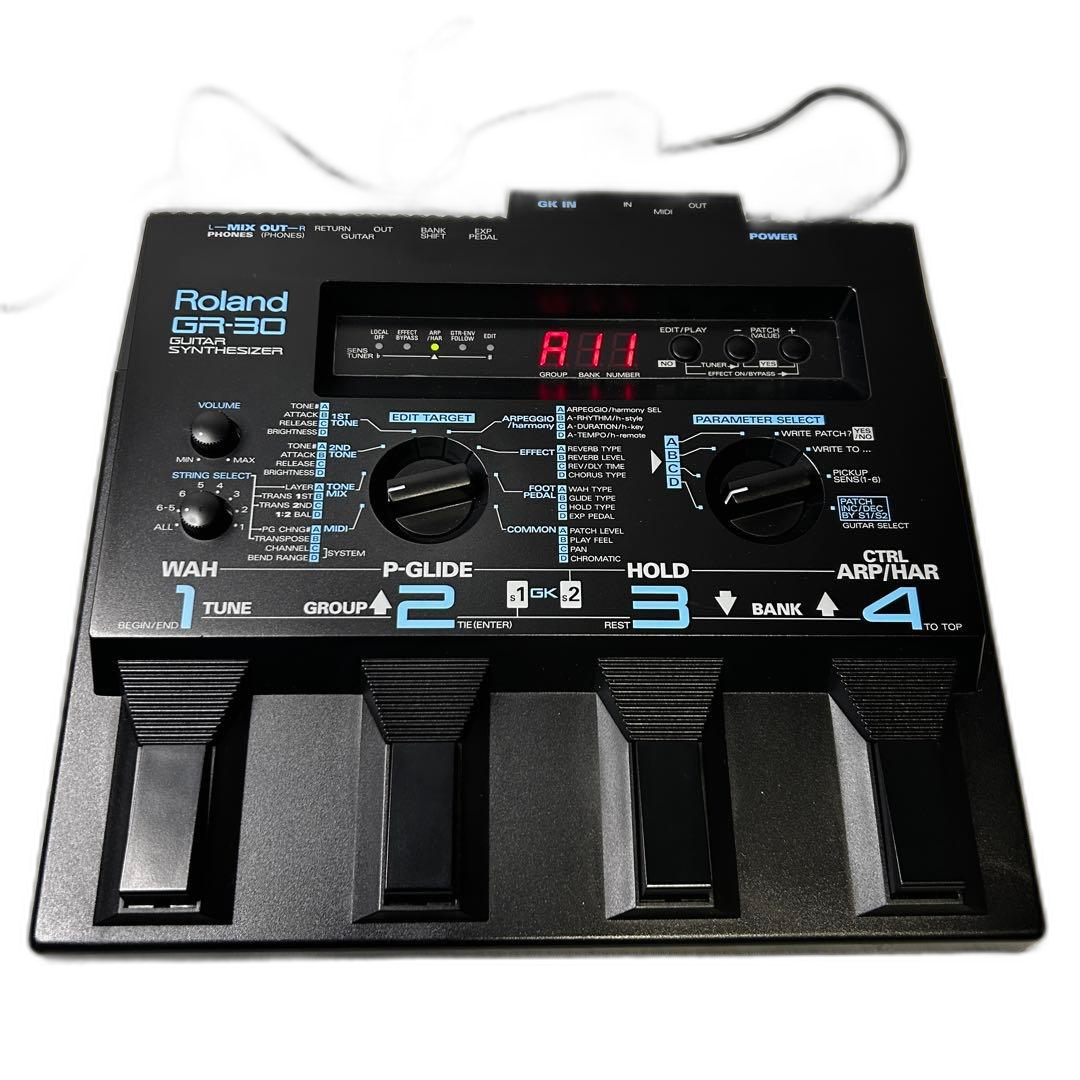 Roland Others Gr-30